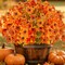 10PCS Artificial Fall Flowers for Outdoors, UV Resistant Faux Silk Mums & Eucalyptus Plants, Orange Fake Outdoor Flowers for Porch, Patio, Window Boxes, Garden, Halloween, Thanksgiving & Autumn Decorations
